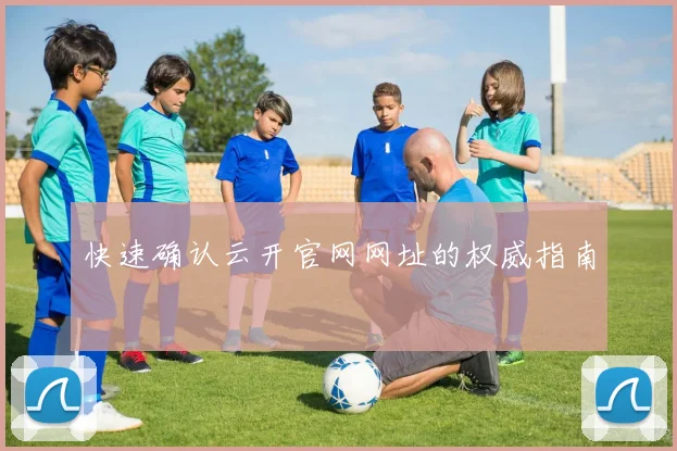 快速确认云开官网网址的权威指南